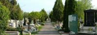 Csökkentenék az autósok által okozott károkat a temetőben